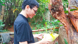 Du lịch Hòn Sơn trọn gói giá rẻ