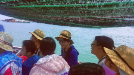 Du lịch Hòn Sơn trọn gói giá rẻ