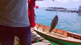 Du lịch Hòn Sơn trọn gói giá rẻ