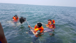 Du lịch Hòn Sơn trọn gói giá rẻ