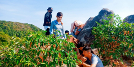 Du lịch Hòn Sơn trọn gói giá rẻ